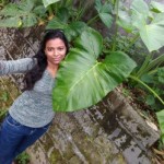 Profile picture of Monisa Ravichandran